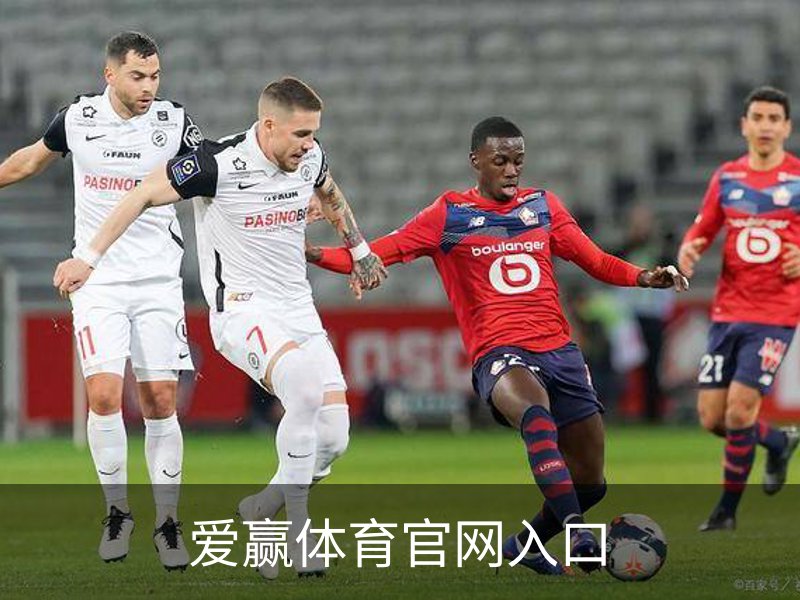 爱赢体育官网入口介绍